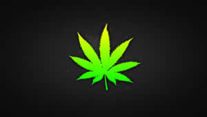 螢光綠色大麻葉在深色紋理背景上發光。