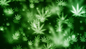 在柔和的漸變背景中漂浮的發光綠色大麻葉。