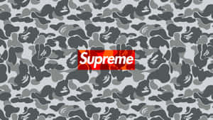 灰色迷彩背景上的Supreme標誌，帶有猿頭圖案