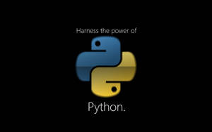 Python 程式設計標誌，藍黃色蛇在黑色背景上。