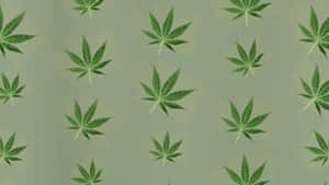 綠色大麻葉在鼠尾草色背景上以重複圖案排列。