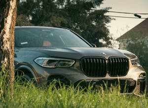 日落時灰色BMW SUV停泊在樹旁的草地上