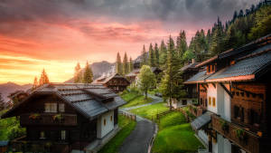 日落時分的山村，木屋被松樹環繞。
