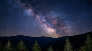 銀河系在夜間照耀著松樹的山脈