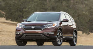 栗色本田 CR-V SUV 停泊在路上，後面有樹木和乾草。 — 本田 壁紙