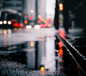 雨夜的街道，水坑中閃爍的車燈倒影。