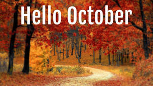 蜿蜒小路穿過秋林，有紅橙葉子和「Hello October」文字。