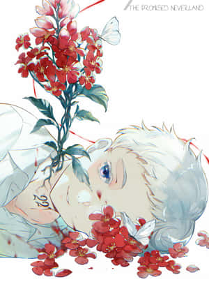 白髮的動漫男孩被紅花和白蝴蝶圍繞。 — Huawei Pura X 壁紙