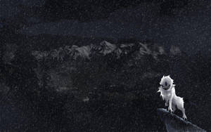 白狼站在雪崖上，背景是黑暗暴風雨的山景