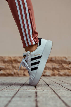 白色 adidas superstar 運動鞋在石頭路面上的特寫，搭配鏽色運動褲。