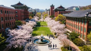 學生們走過一個兩旁種滿櫻花樹和紅磚建築的大學庭院。