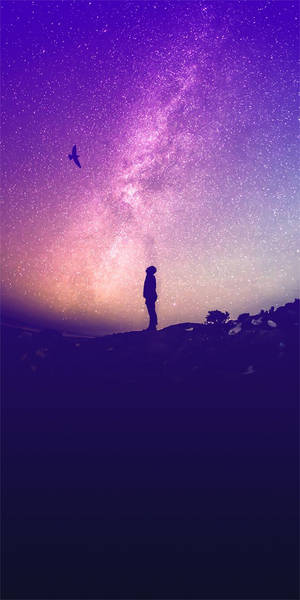 人站在山丘上，星空紫色天空，有鳥飛翔 — 美麗的日落動畫 壁紙