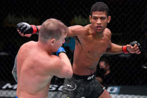 兩名MMA拳手在八角籠內比賽中互相出拳。