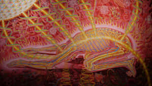 金色骷髏人物被紅色火焰和神秘符號包圍。