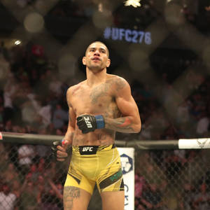 UFC拳手在八角籠內慶祝勝利，背景有觀眾。 — 黃色 壁紙
