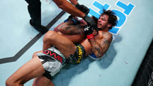MMA拳手痛苦中，裁判在藍色八角形墊上停止比賽