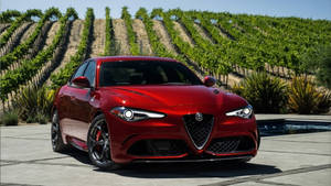 紅色 Alfa Romeo 房車停放在游泳池旁，背景是葡萄園。