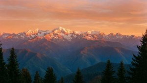 日落時分，積雪的山峰，前景是森林山脊