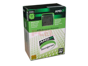 AMD Sempron處理器零售盒，綠色和白色設計。