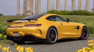 黃色 Mercedes-AMG GT R 停泊在古老石柱附近，前景有黃色花朵。