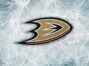 Anaheim Ducks 冰球標誌在刮花的冰面上。