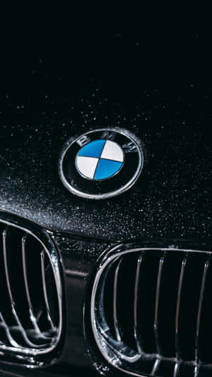 BMW 汽車標誌在濕黑色引擎蓋上，帶有鍍鉻格柵 — 本田 壁紙