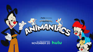 《Animaniacs》卡通角色與節目名稱及 Hulu 發行資訊，背景為藍色。