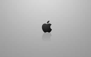 黑色Apple標誌帶倒影，置於灰色漸變背景上