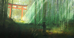 京都嵐山竹林4K