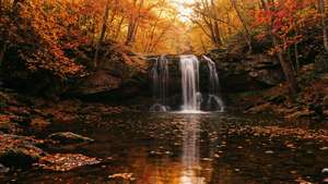 秋季瀑布被帶有橙色葉子的樹木環繞，在平靜的水面上倒映