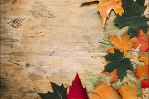 風化木背景上的紅色、橙色和綠色秋葉