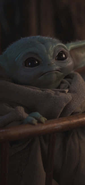 Baby Yoda Zoom 背景 — OnePlus Nord 6 壁紙