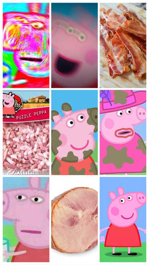 Peppa Pig 角色和煙肉火腿切片的拼貼畫。