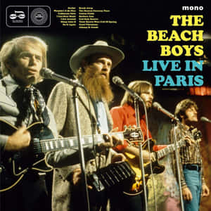 The Beach Boys 在巴黎現場演出，結他與咪高峰。