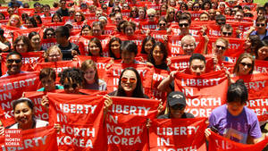 抗議活動中高舉紅色「Liberty in North Korea」橫幅的人群。