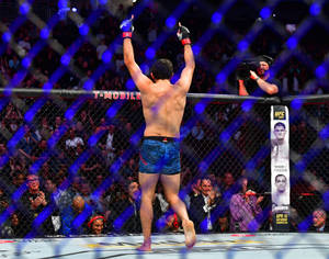 MMA拳手在八角籠中舉臂慶祝勝利。 — 勝利 壁紙