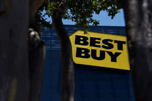 陽光明媚的日子裡，透過樹枝看到的Best Buy商店標誌。