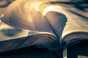 陽光照射在一本打開的書上，在書頁上投下柔和的陰影。