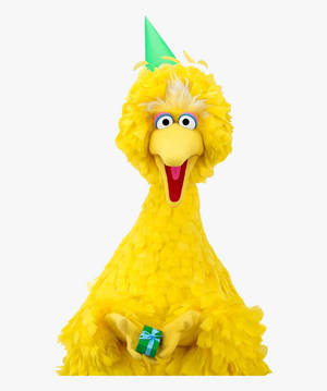 Big Bird 手持一個小綠色禮物，頭戴派對帽。