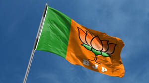 BJP黨旗在藍天下隨風飄揚。