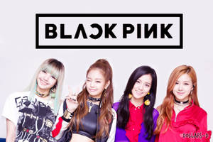 BLACKPINK 成員斜倚於白色背景的壁紙