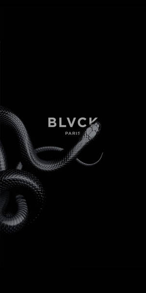 黑蛇盤繞，白色 BLVCK PARIS 文字在黑色背景上。