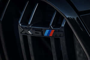 近距離拍攝BMW X6M鬼面罩徽章，帶有藍、紅、紫條紋。 — 寶馬X6 M 壁紙