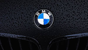 雨濕的黑色引擎蓋上帶有水珠的BMW標誌。