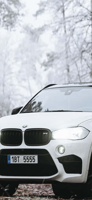 白色BMW SUV停泊在白雪森林中，樹木光禿。 — iPhone 14 壁紙
