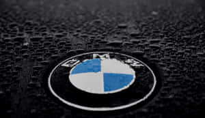 BMW標誌在濕潤引擎蓋上帶有雨滴