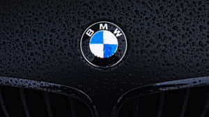 BMW 標誌在濕透的黑色引擎蓋上，帶有雨滴
