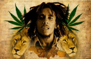 Bob Marley 圖片 — 卜馬利語錄 壁紙