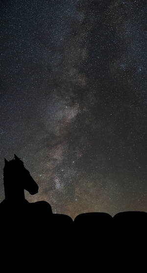 在繁星夜空下馬的剪影，銀河系清晰可見。