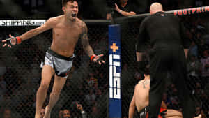 MMA拳手在八角籠中慶祝戰勝倒下的對手。